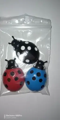 Magnet pour frigo Coccinelle (le lot de 3)